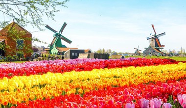 Авиатур Бельгия-Голландия с посещением парка цветов 
